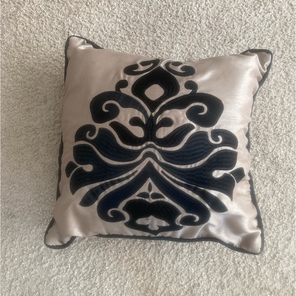2 Throw Pillows